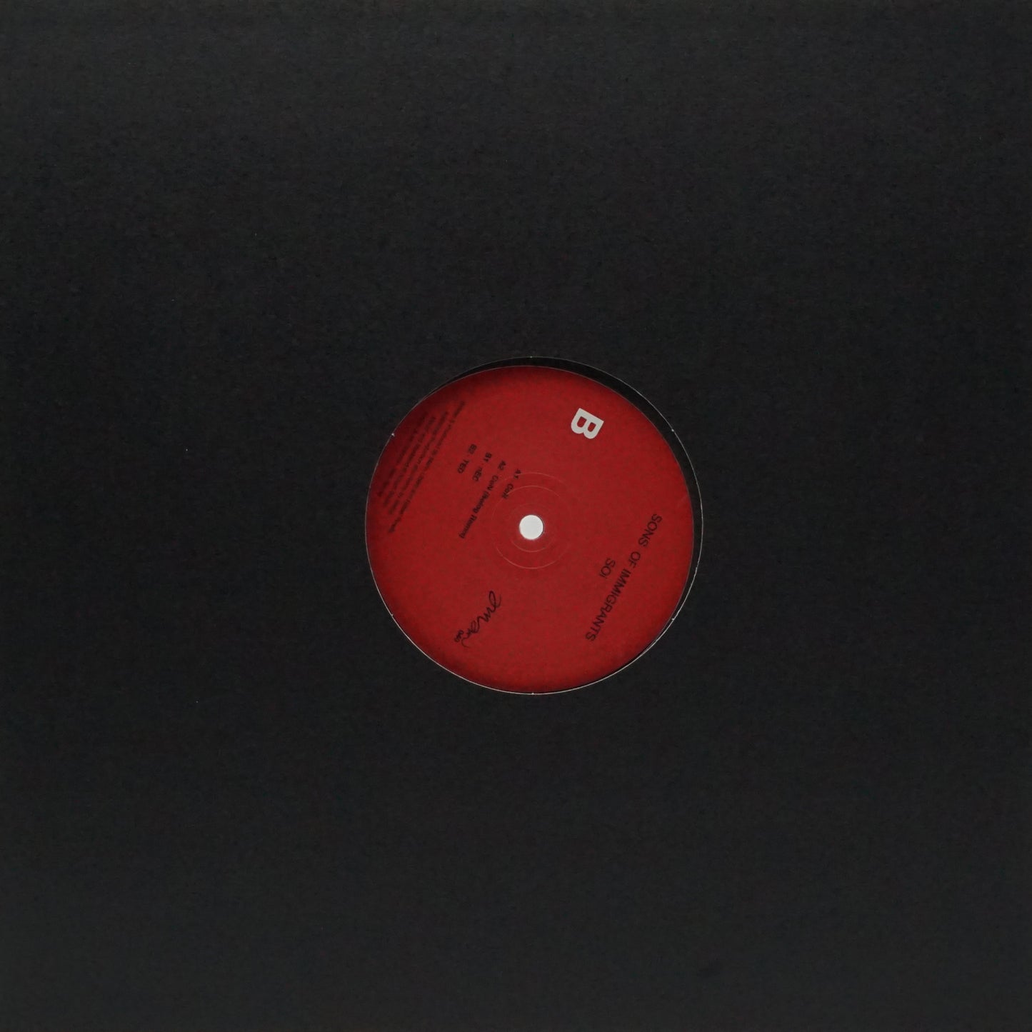 SONS OF IMMIGRANTS – SOI