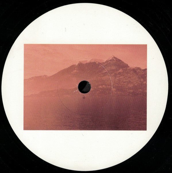 Second Hand vinyl record "Den Första Färden" by Maskin Ljud, showing the back cover with artwork and text.