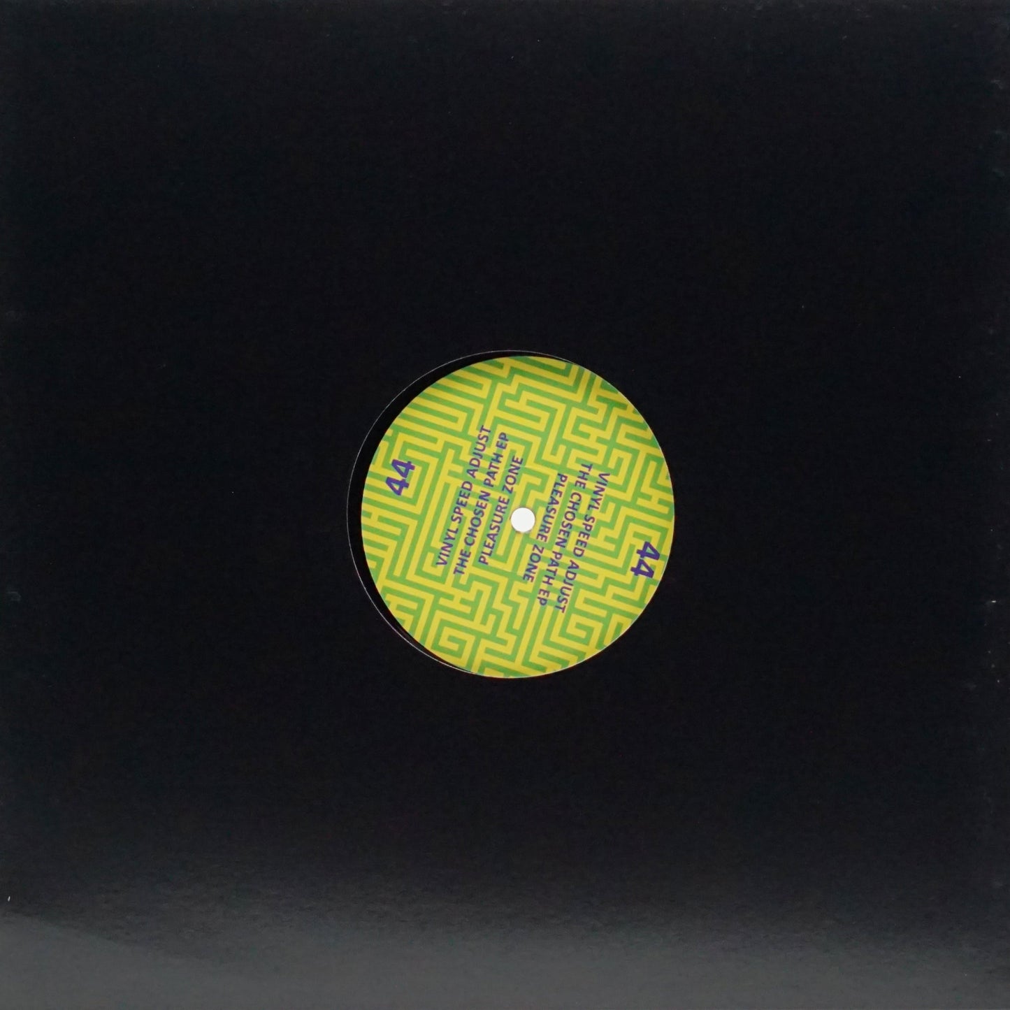 VINYL SPEED ADJUST – THE CHOSEN PATH