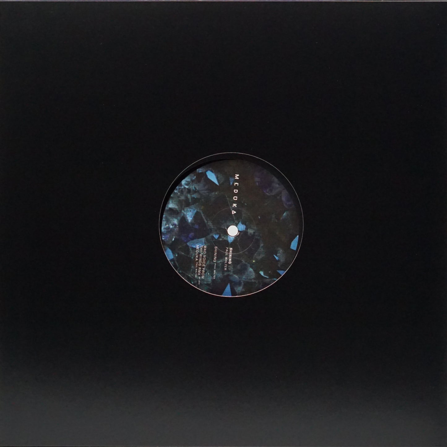 PAUL WALTER – SHINING