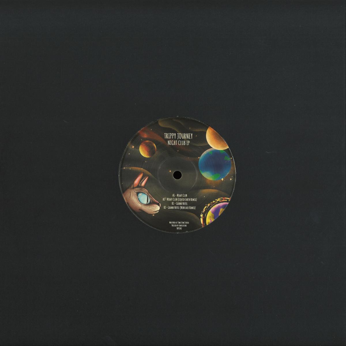 Vinyl Future Trippy Journey Liquid Earth Nebulaee night club vinyl record with colorful abstract artwork on the back cover.