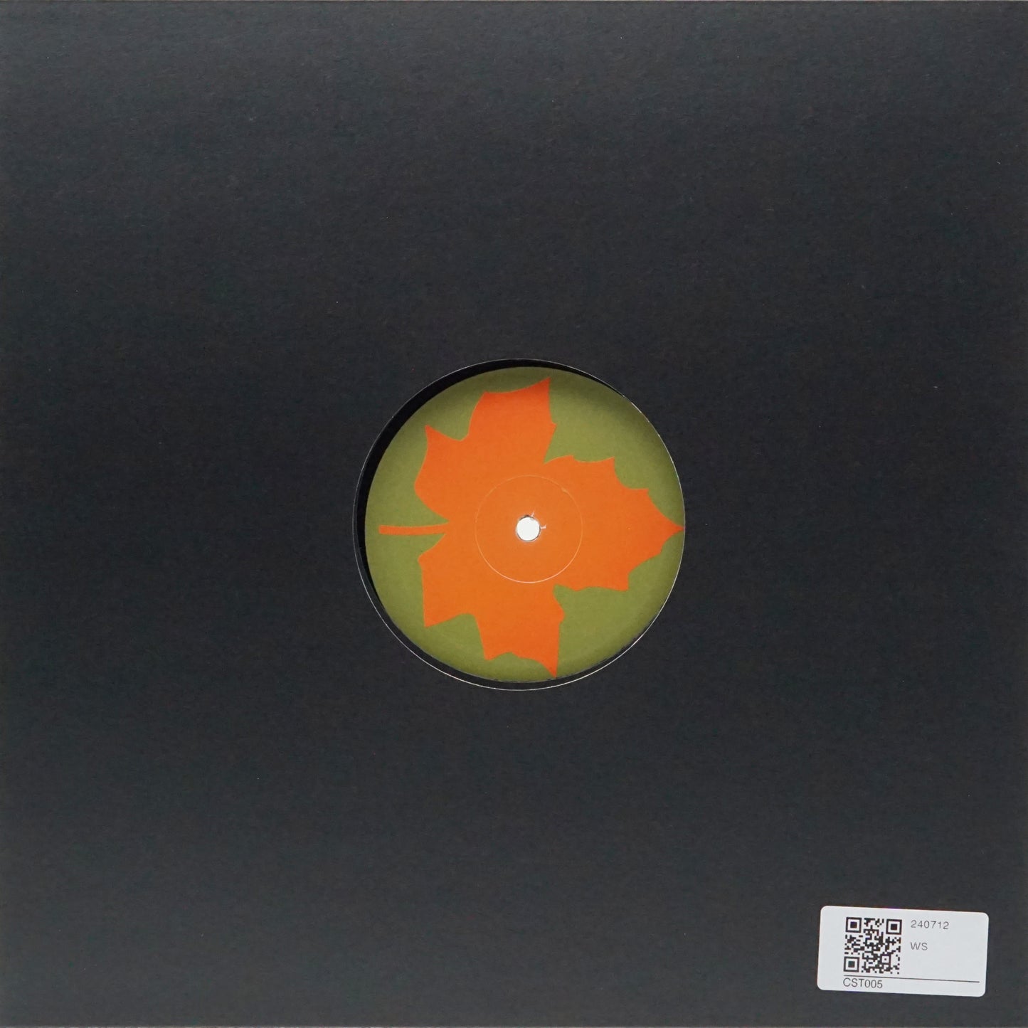 ALKA REX – GESTALT SHIFTS