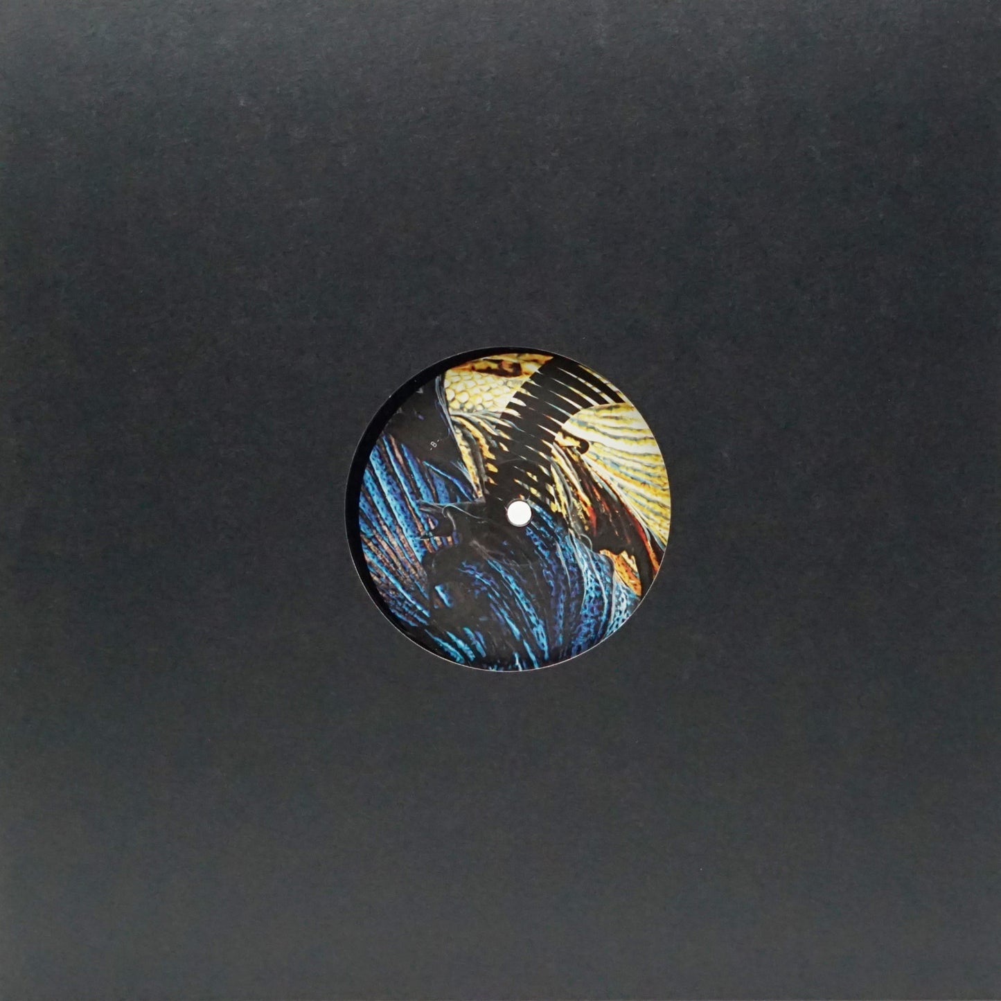 DUC IN ALTUM – MIDNIGHT SUN