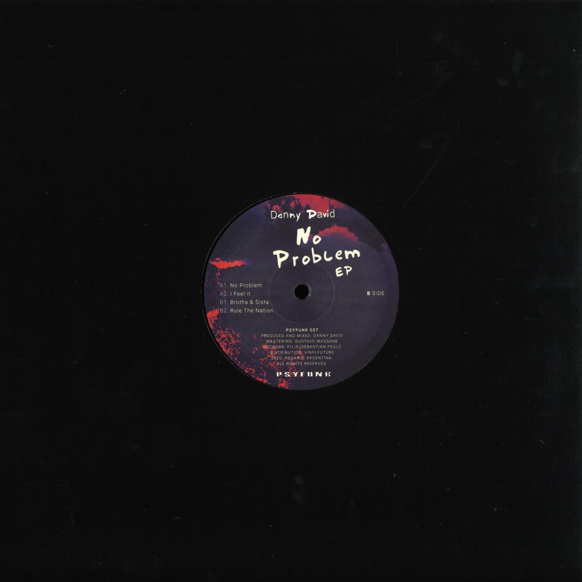 Back of Vinyl Future's Danny David No Problem EP vinyl record showing the black vinyl disc and label design.