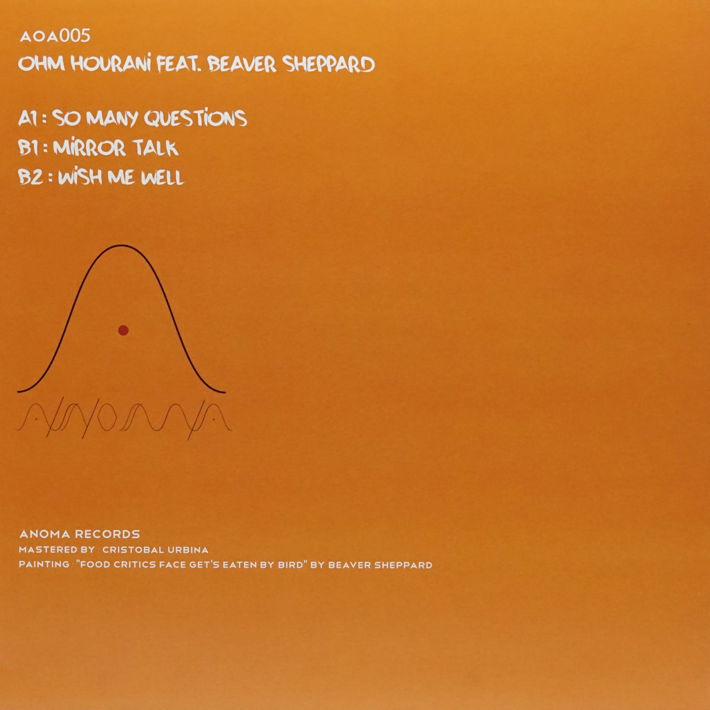 OHM HOURANI FEAT. BEAVER S – SO MANY QUESTIONS