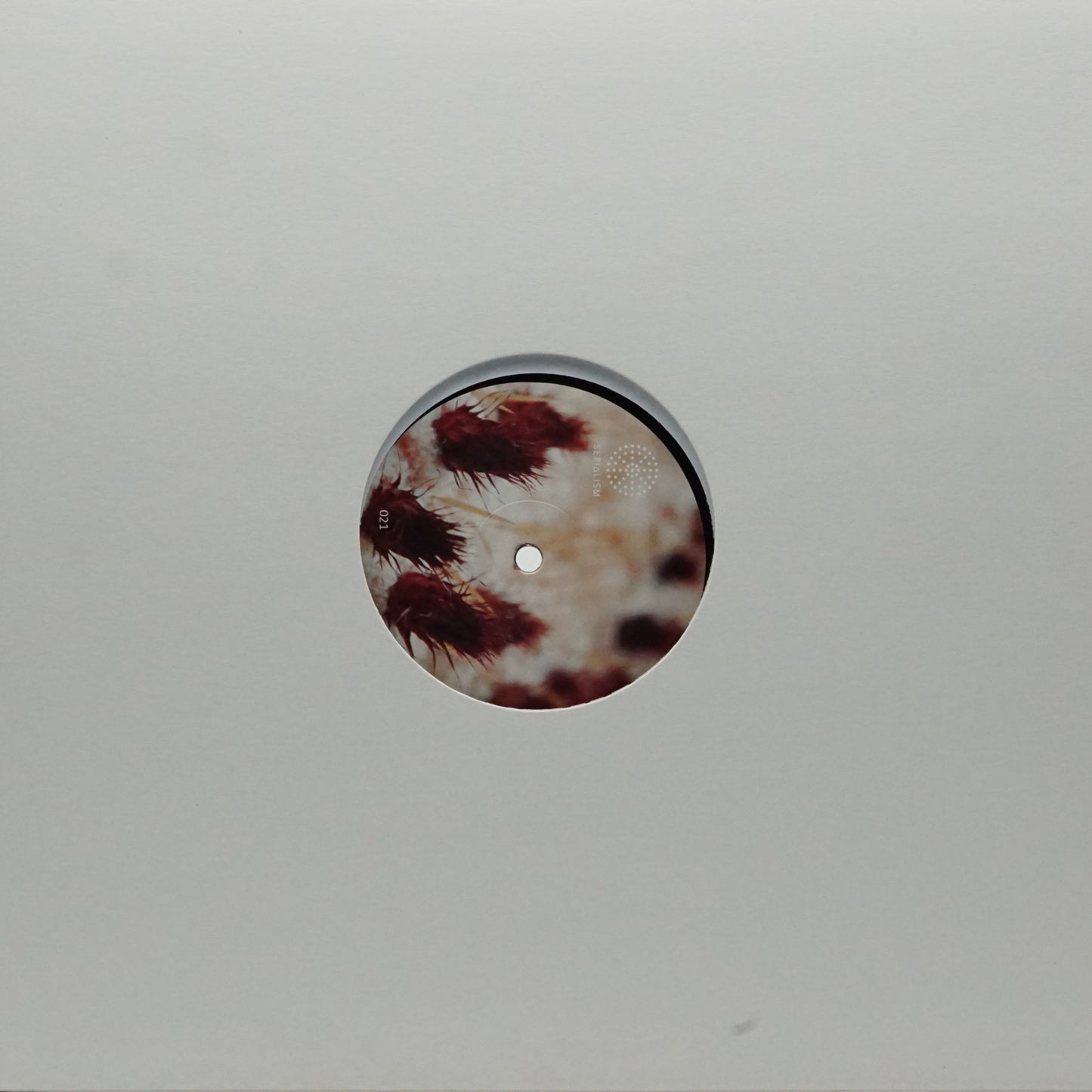 CESARE VS DISORDER – WIDE CLOSE UP