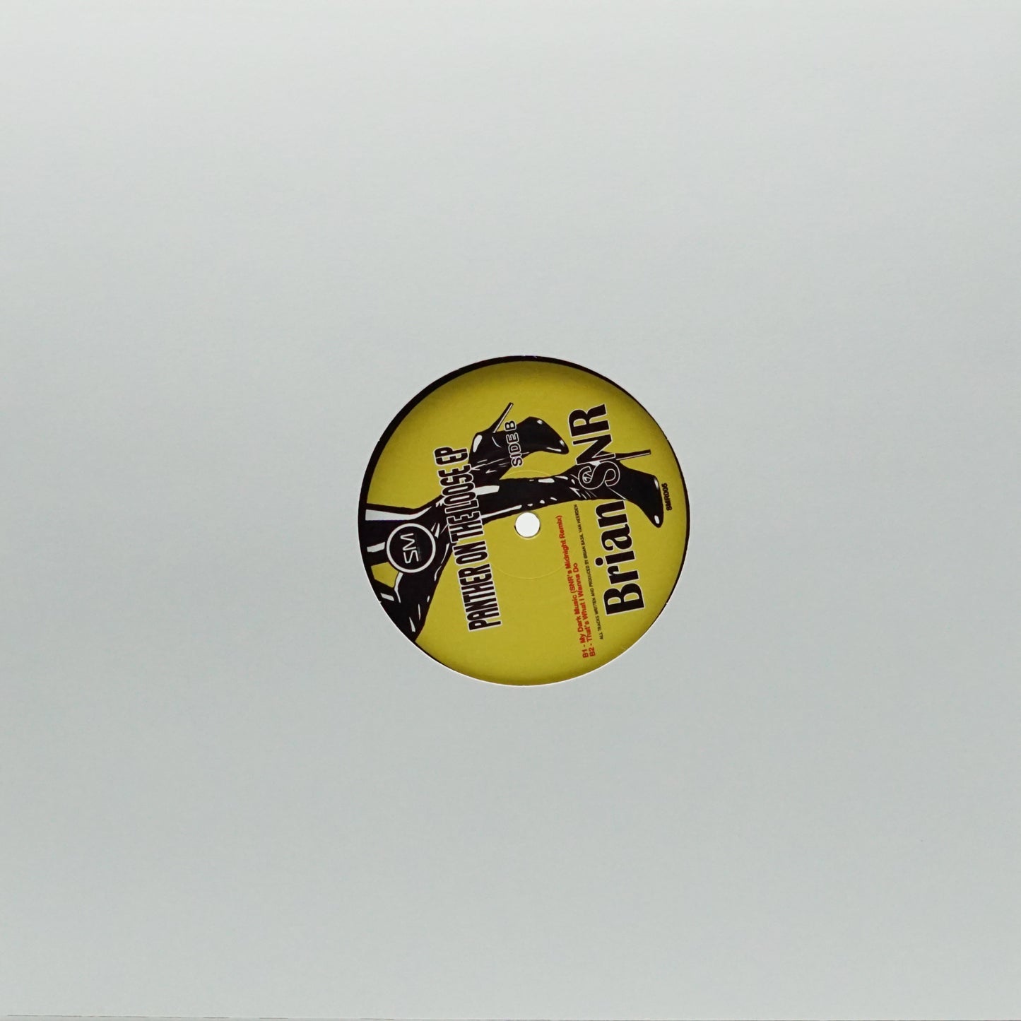 BRIAN SNR – PANTHER ON THE LOOSE E.P.