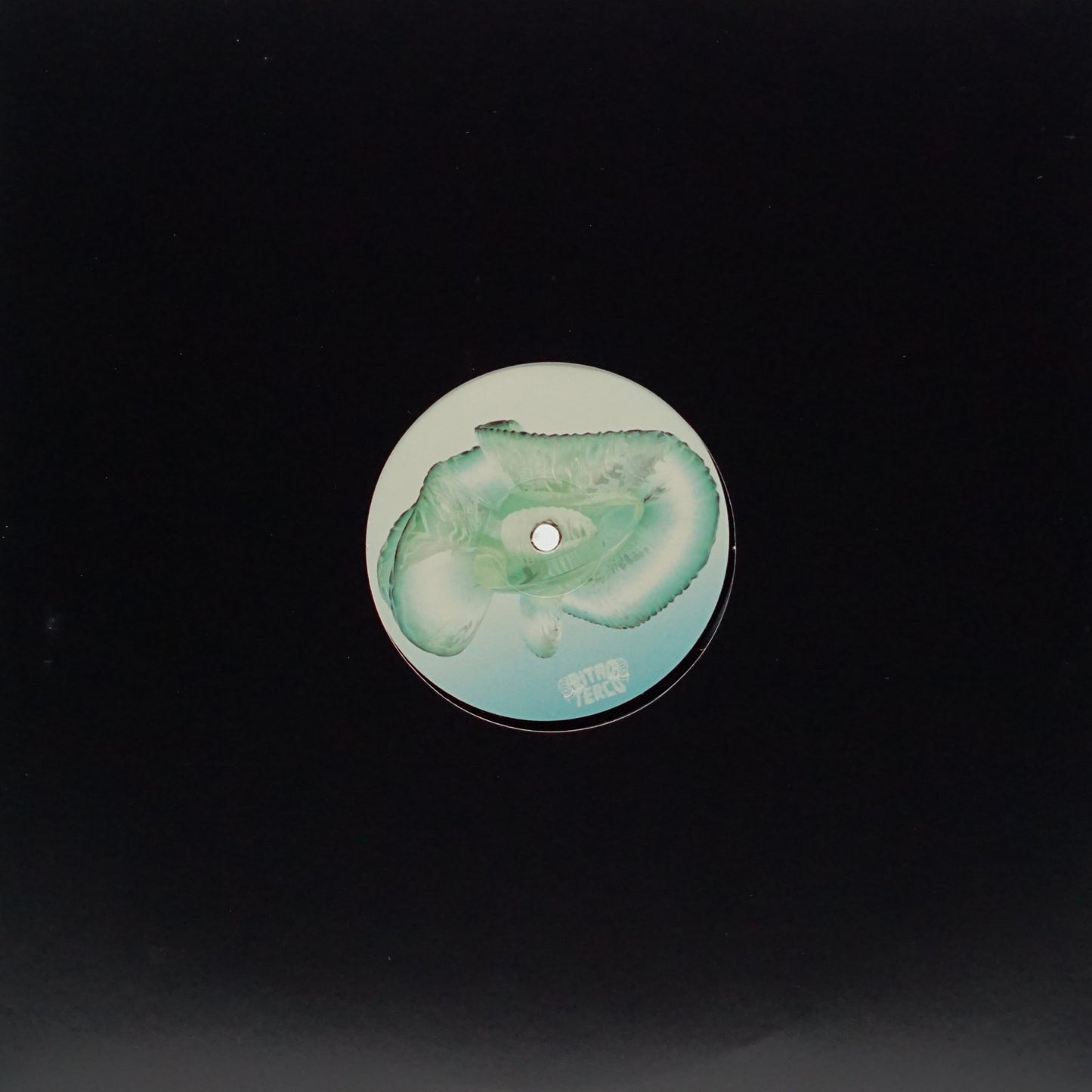 JONAHLO – ACID DAYS