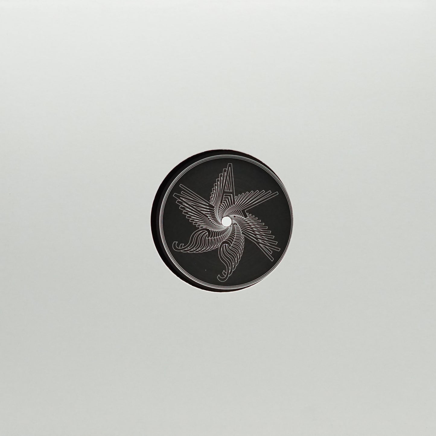 FLORD & WEIRDVIN – OYSTER