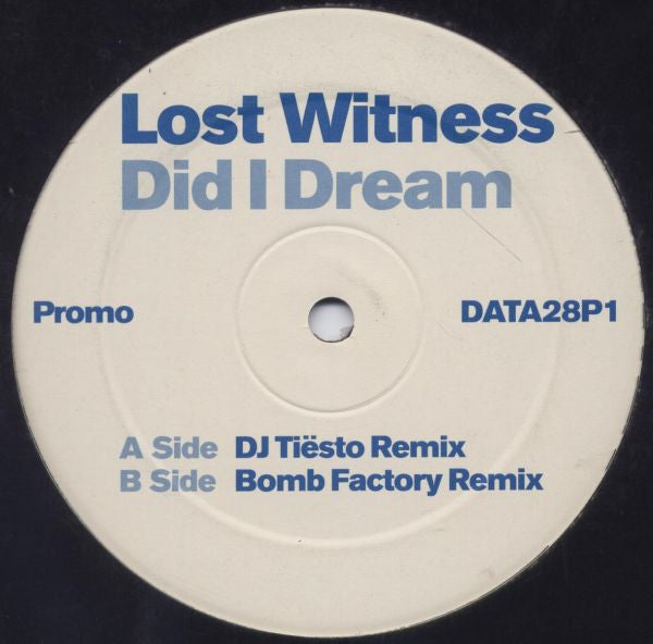 Second Hand vinyl record of LOST WITNESS – DID I DREAM, showing the front cover artwork with vibrant colors and album title.