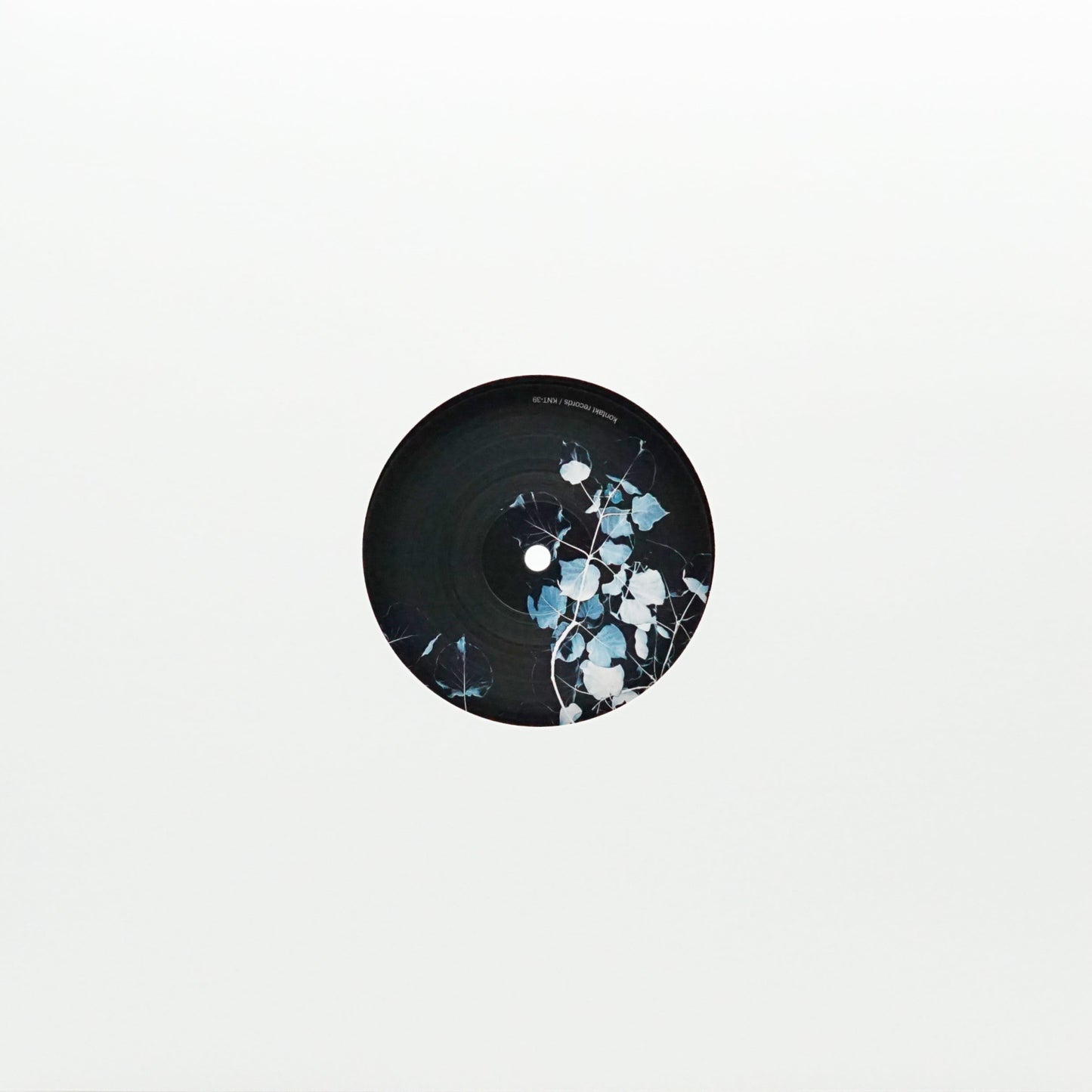 BLUETRAIN AKA STEVE O'SULLIVAN – FROZEN ROSE