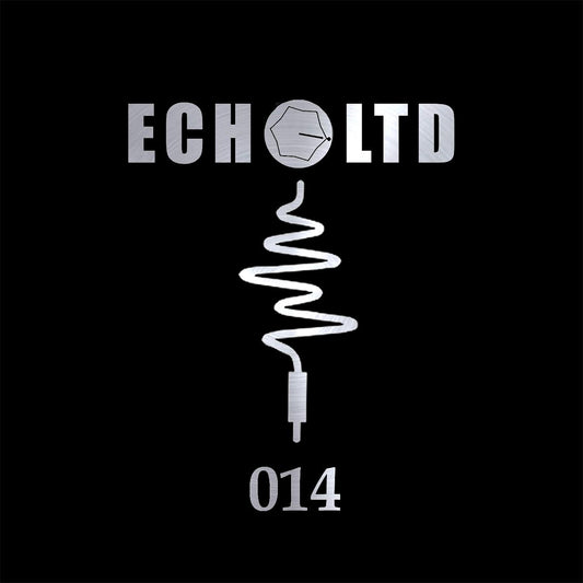 Vinyl record titled FRENK DUBLIN – ECHO LTD 014 by Triple Vision, showing the front cover art of the album.