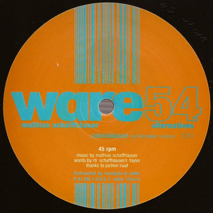 MATHIAS SCHAFFHÄUSER – ALTERNATIVES