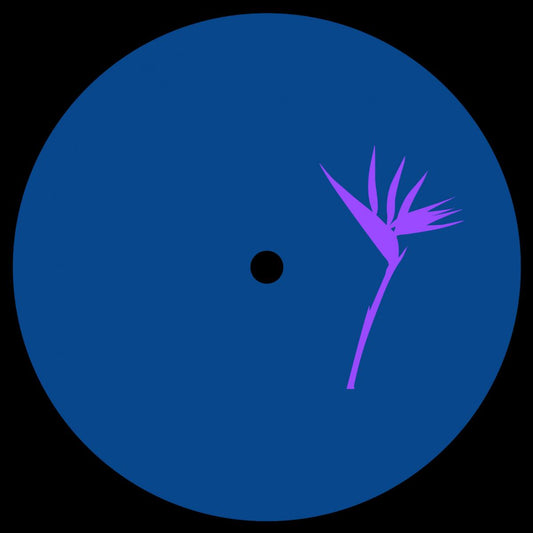 Triple Vision Compilation 4 vinyl record featuring various artists with colorful album artwork and a black vinyl disc.