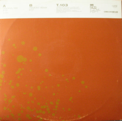 AMIR AD FONTES – VIRTUAL NATURE