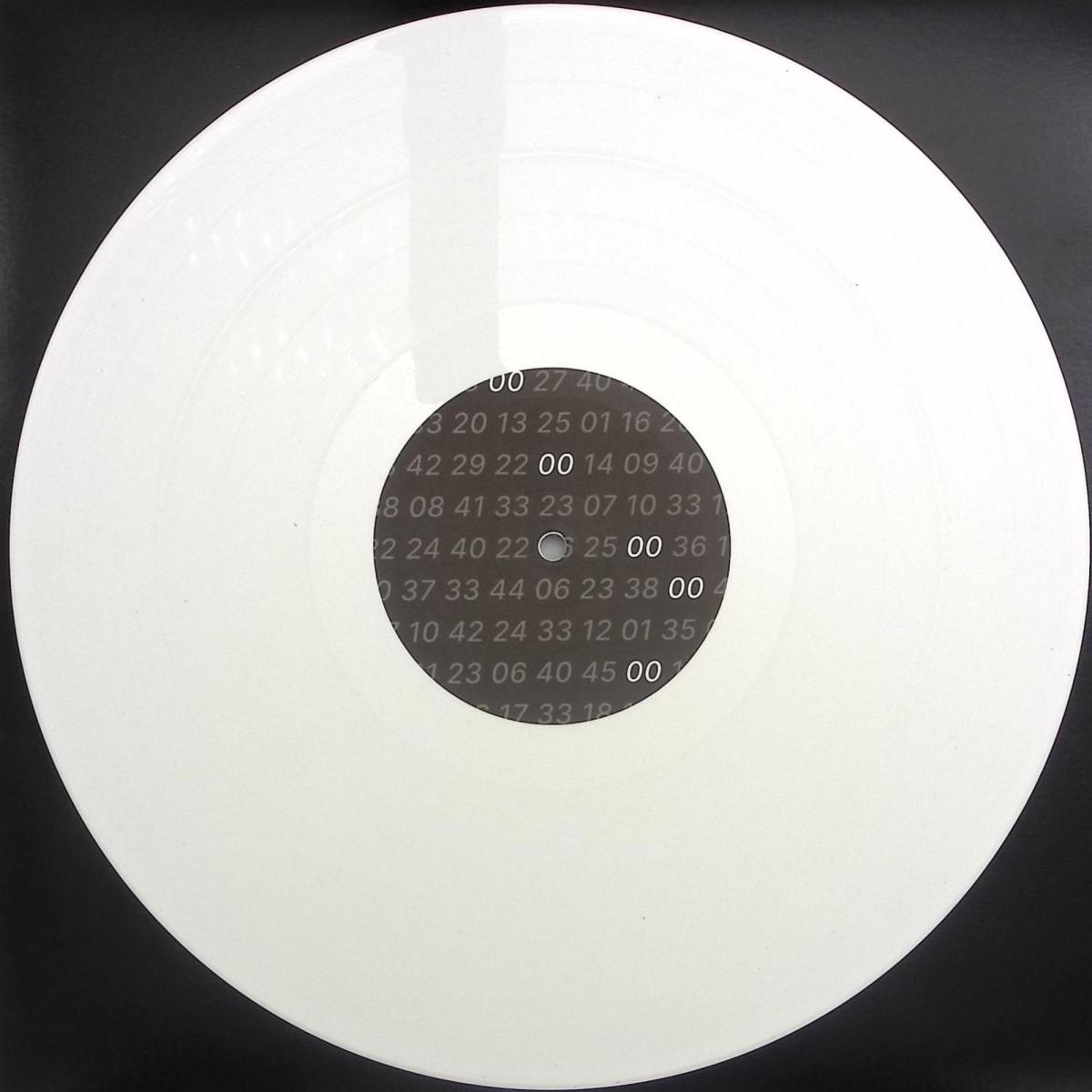 Vinyl Future R.HZ Hybrid DUB vinyl record with back cover artwork and track details.