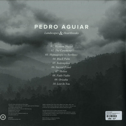 Back cover of Pedro Aguiar's vinyl record "Landscapes & Heartbreaks," featuring artistic artwork and track listing.