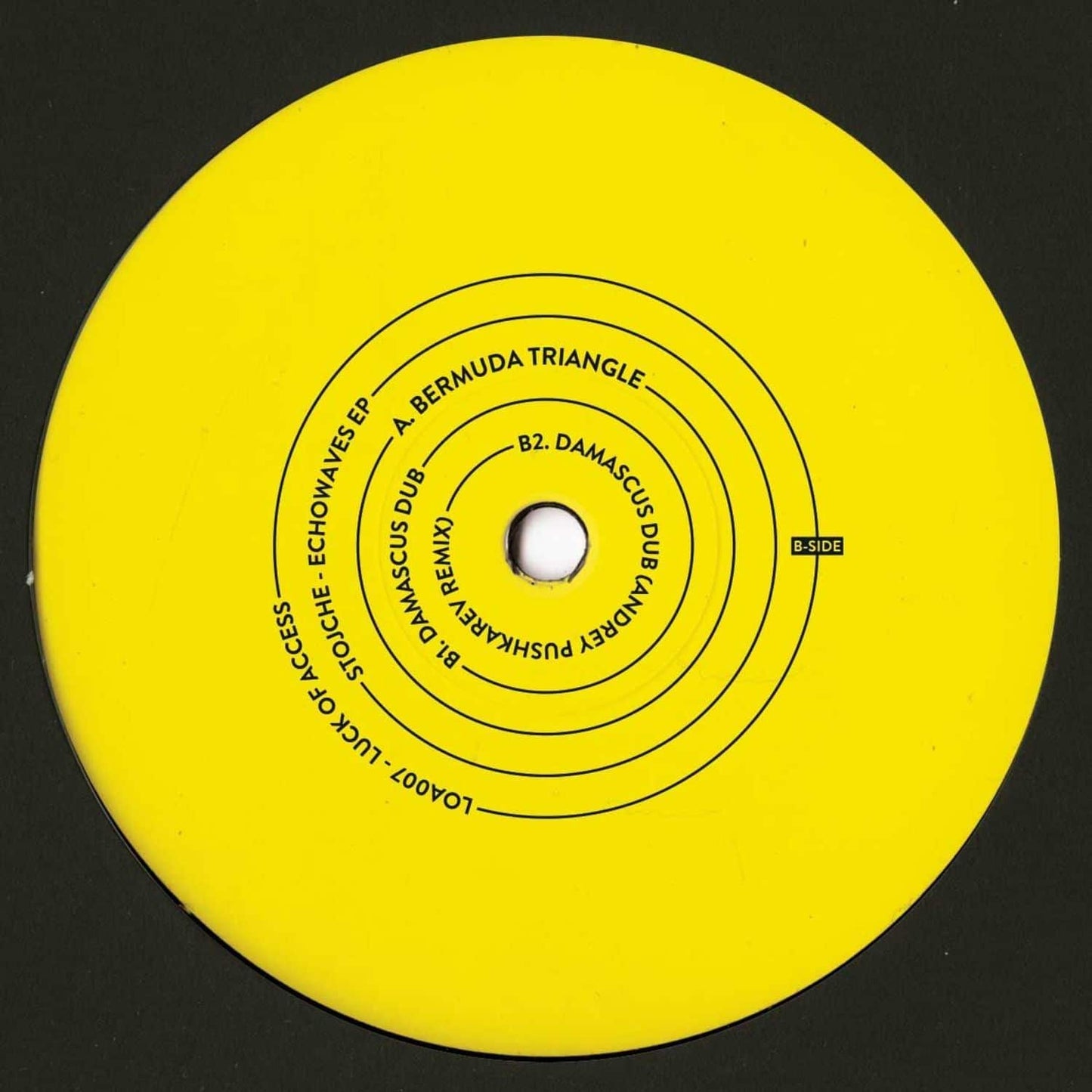 Decks vinyl record by Andrey Pushkarev titled EchoWaves, showing the back cover art with abstract wave designs.