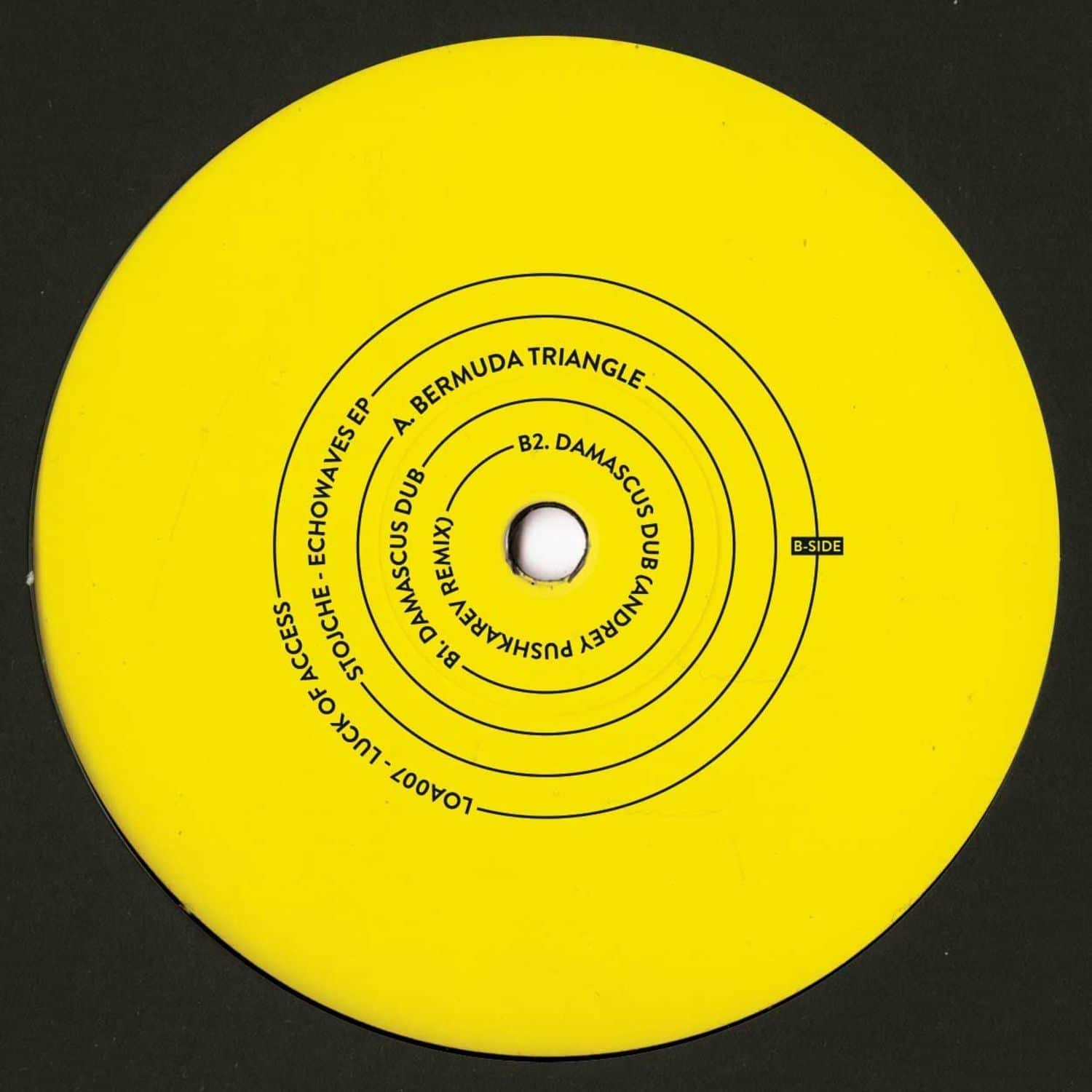 Decks vinyl record by Andrey Pushkarev titled EchoWaves, showing the back cover art with abstract wave designs.