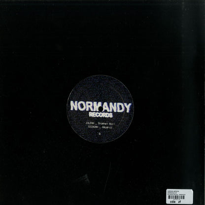 Syncrophone vinyl record of R.M. District 9 by Julenn, Sichuan, showing the back cover with artwork and track details.