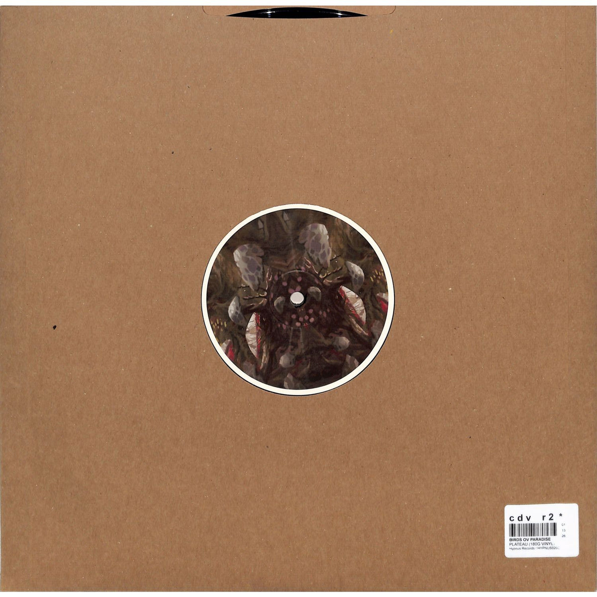 BIRDS OV PARADISE ‎– PLATEAU