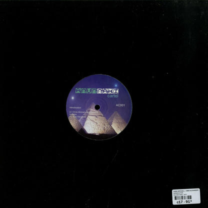 Second Hand vinyl record titled "Introduction" by Chris Mitchell, Amir Alexander, Joey Anderson, featuring collaborative artwork on the back cover.