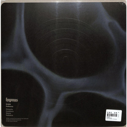 BLNDR – RADIOLARIA