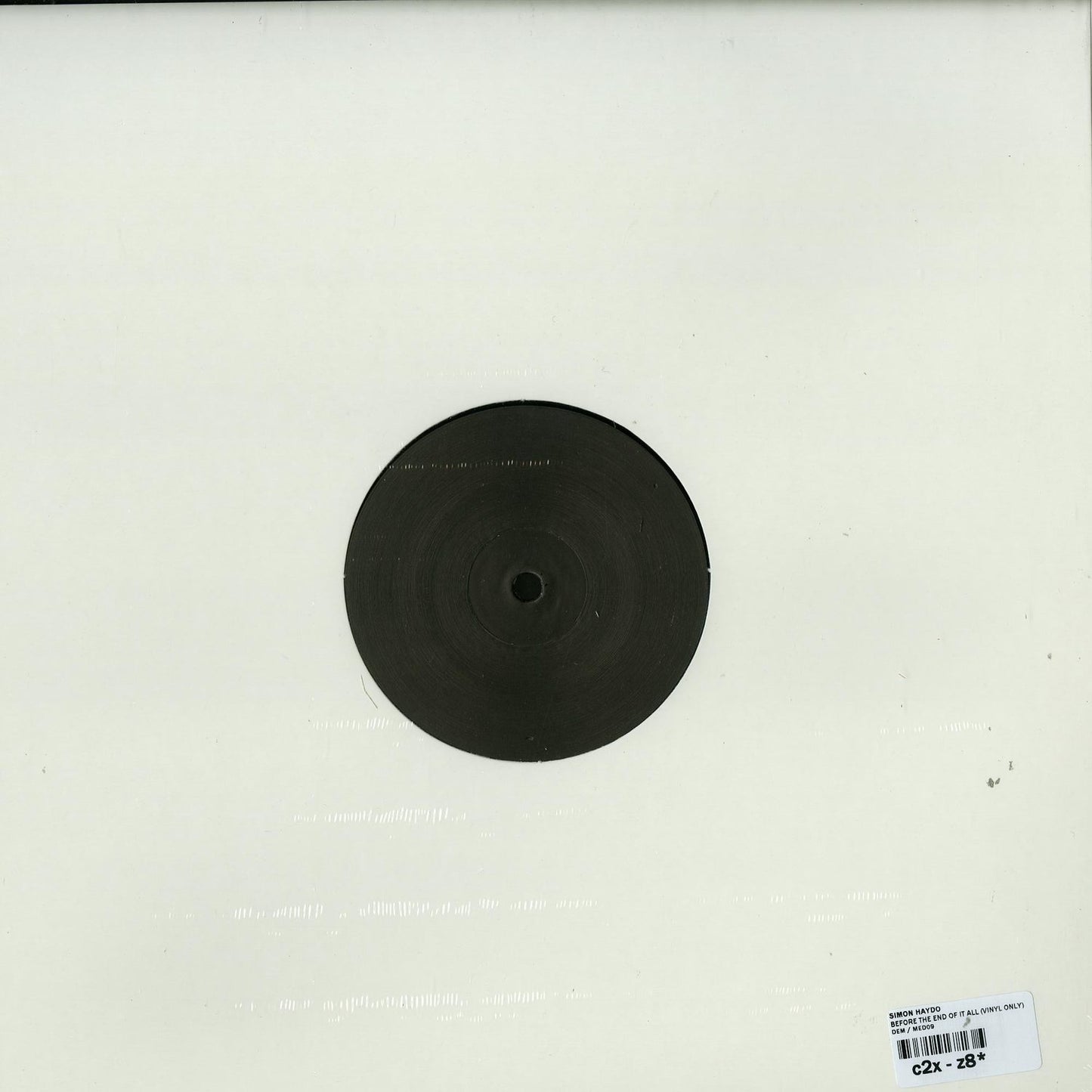 SIMON HAYDO – BEFORE THE END OF IT ALL