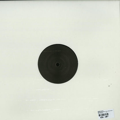 SIMON HAYDO – BEFORE THE END OF IT ALL