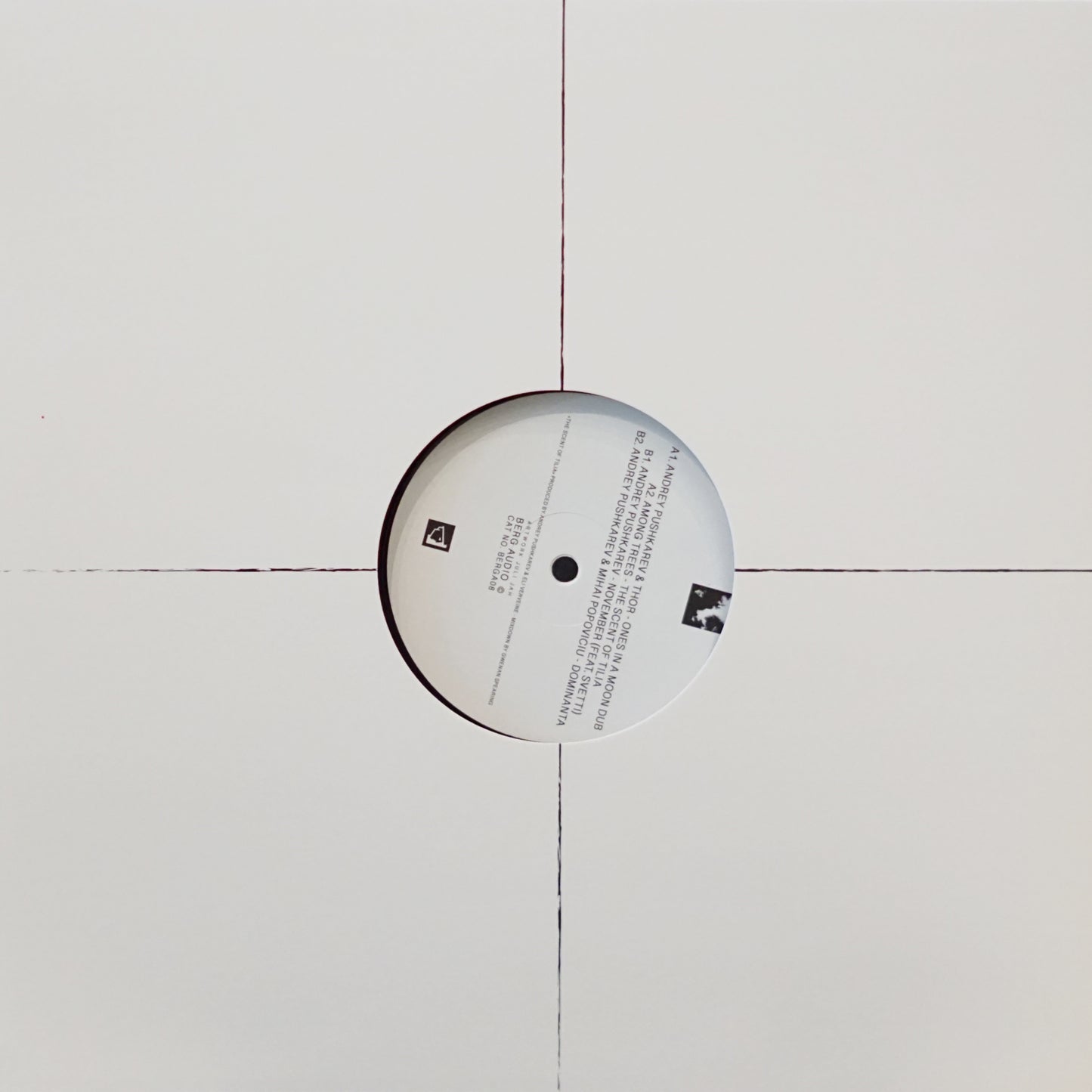 ANDREY PUSHKAREV – SIMBIOZA EP