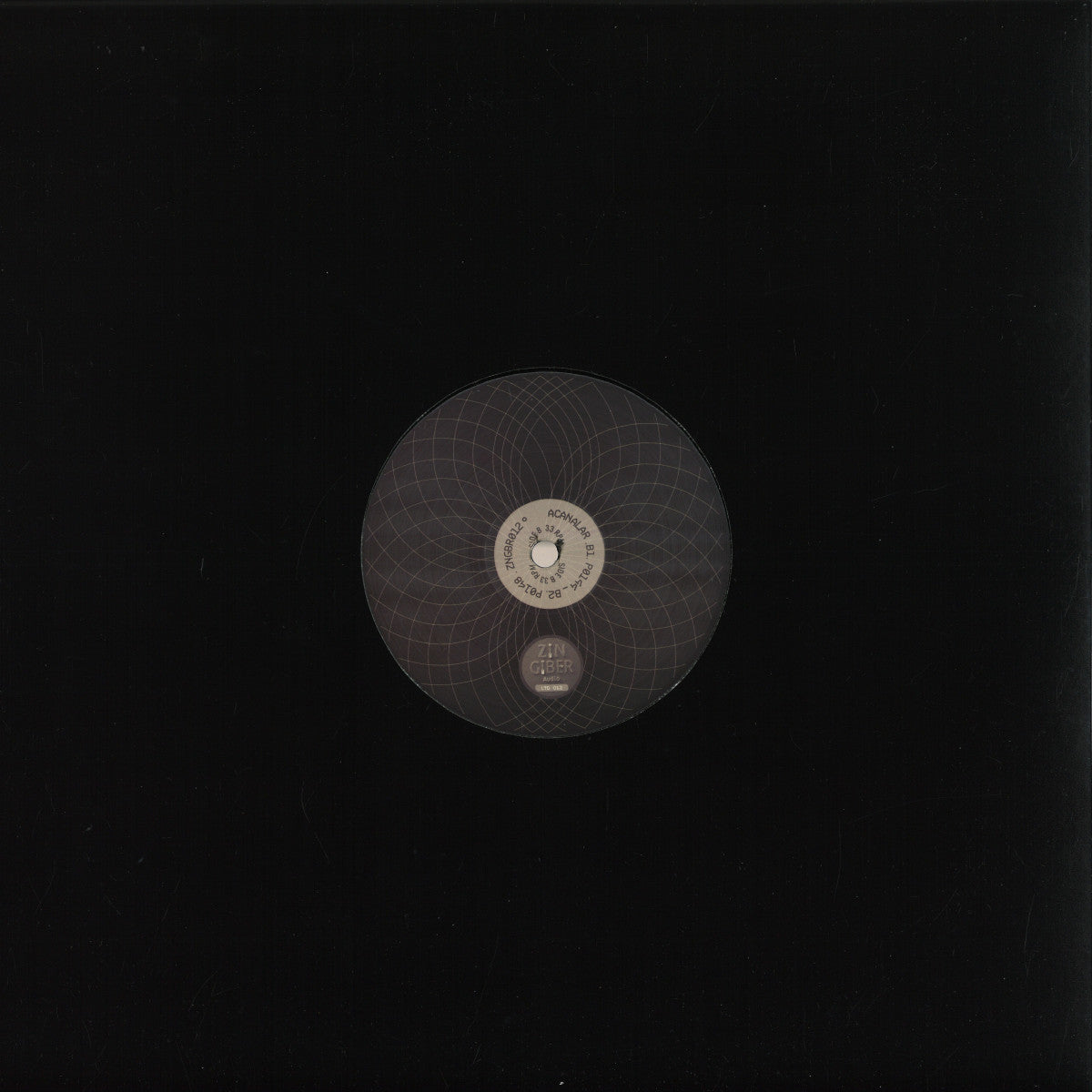 Vinyl Future COR100 Acanalar Split EP #001 vinyl record with colorful label design, viewed from the back.