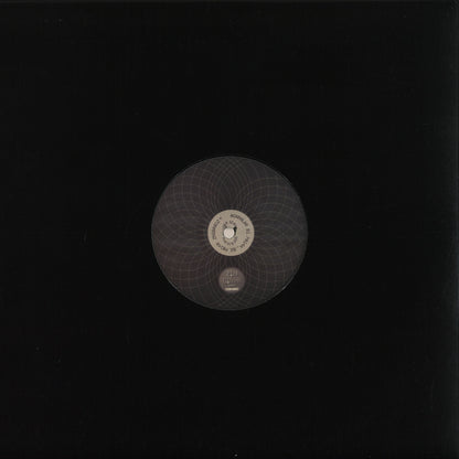 Vinyl Future COR100 Acanalar Split EP #001 vinyl record with colorful label design, viewed from the back.