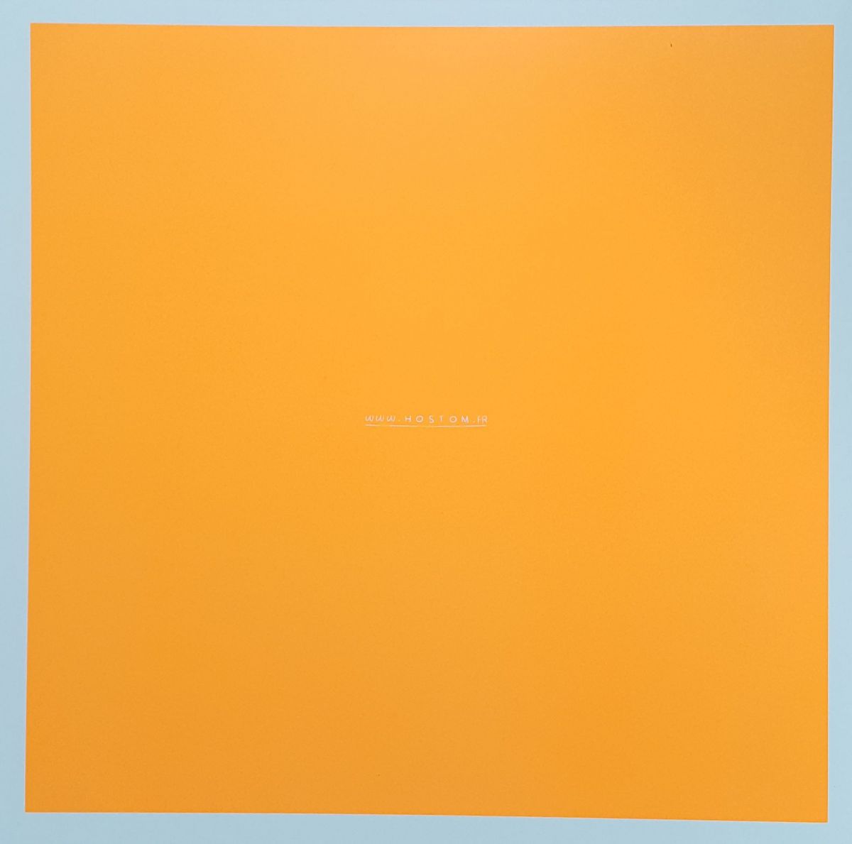 HOSTOM – HOSTOM 004 - Chippy Chasers Record Store