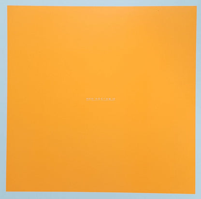 HOSTOM – HOSTOM 004 - Chippy Chasers Record Store