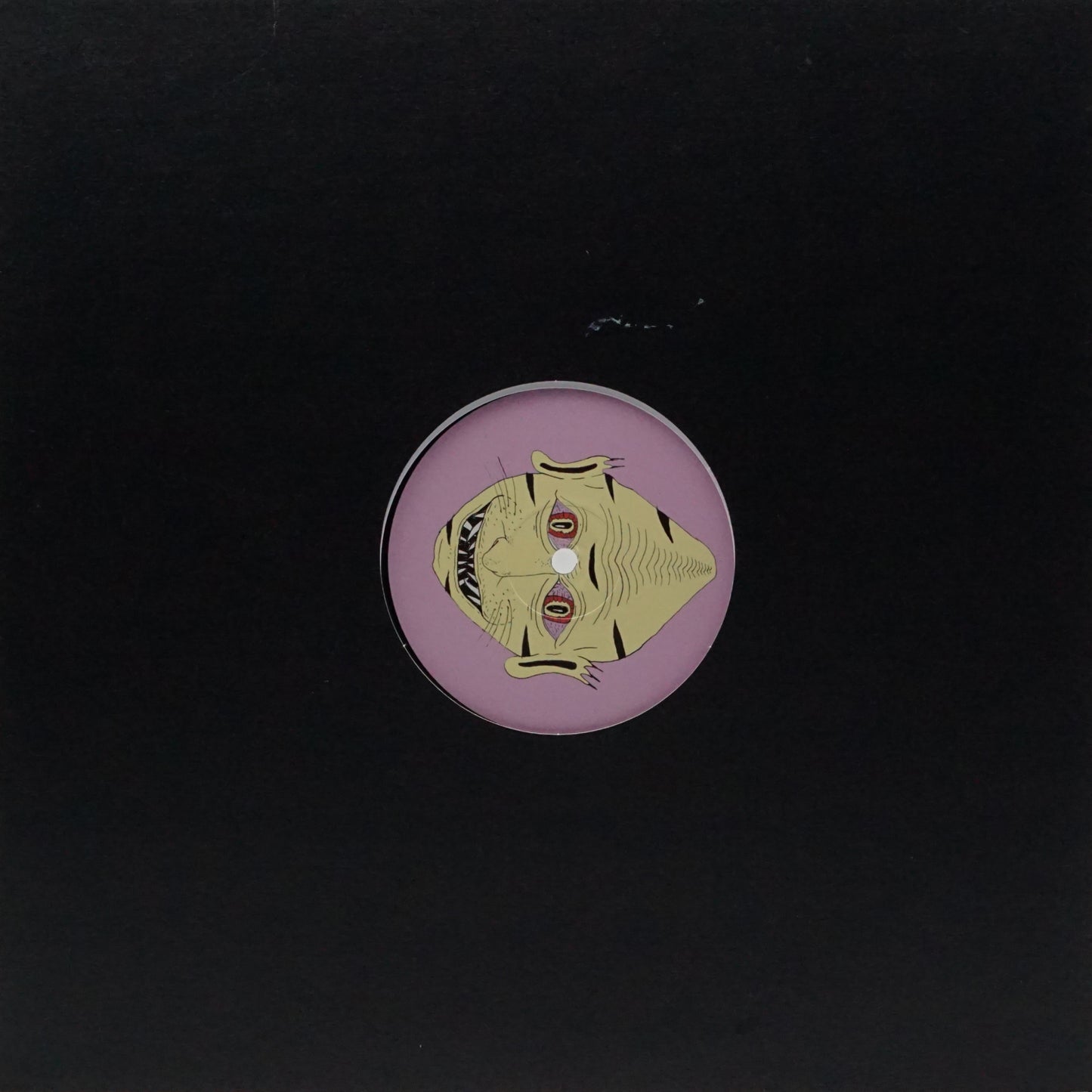 SERPENTINO – ENTRA LA NOCHE