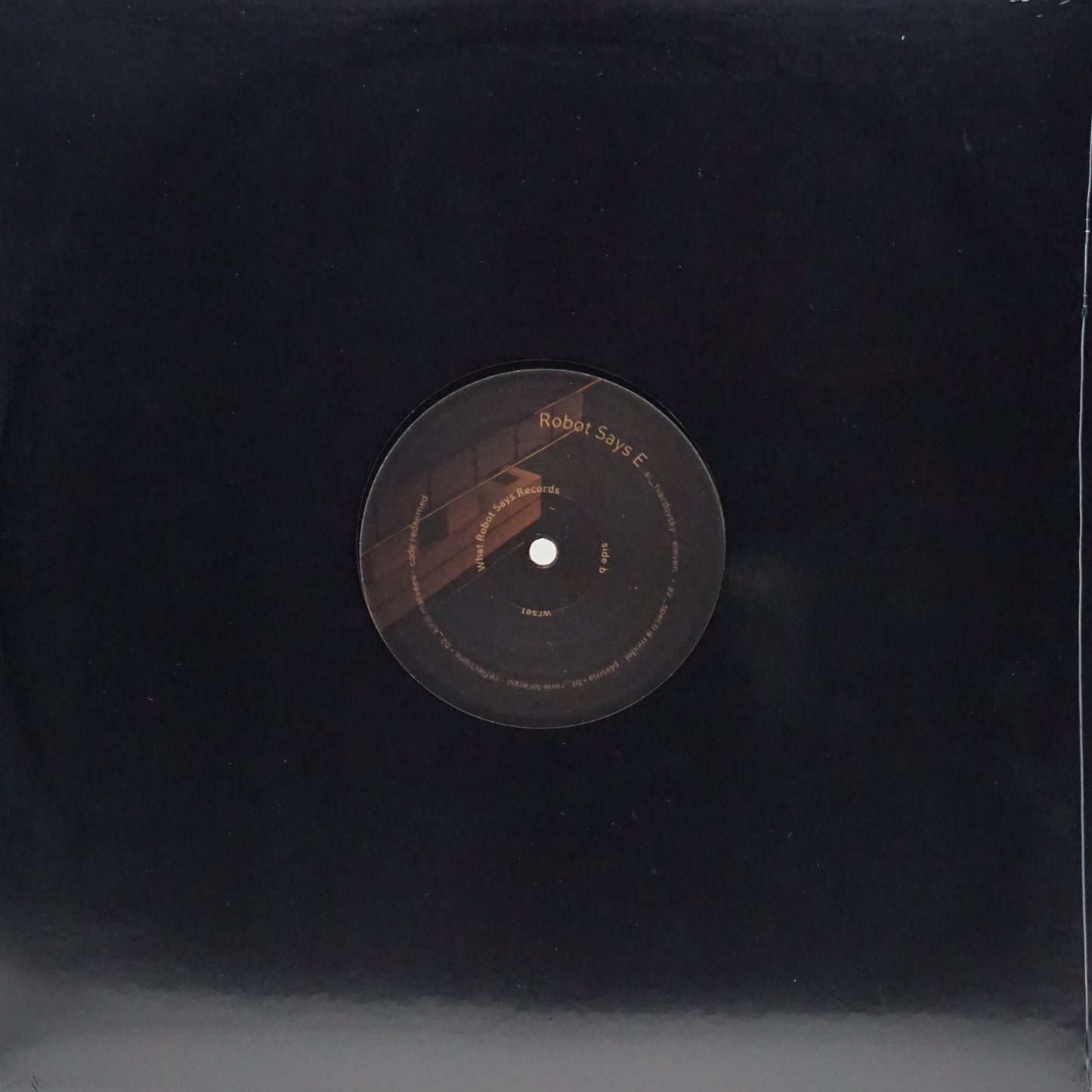 VARIOUS ARTISTS – ROBOT SAYS E