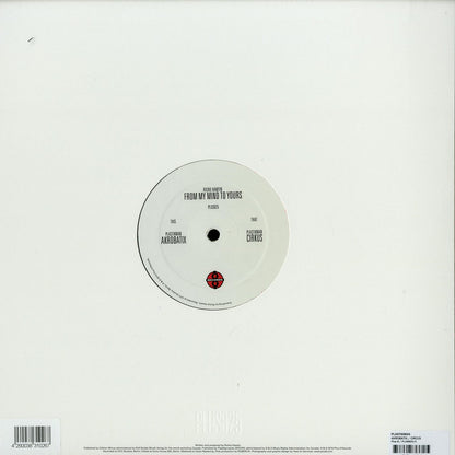 Second hand Richie Hawtin vinyl record titled "From My Mind to Yours" shown from the back side.