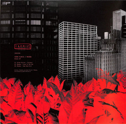 VERBO PLURIEL / MEADOW – HICKS EP