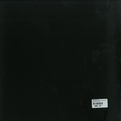 Back of Second Hand Time Traveler Chapter V vinyl record with black label and album artwork in shades of blue and white.