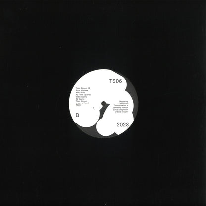 Vinyl Future ARTUR NIKOLAEV TS06 vinyl record with colorful abstract artwork on the back side.