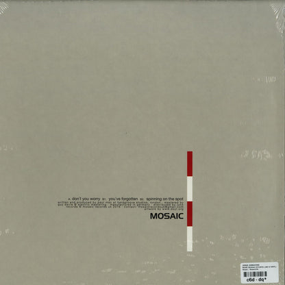 JORGE ZAMACONA – MORE MOSAIC EFFORTS