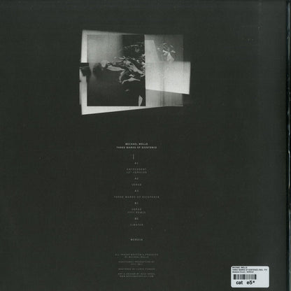 Back cover of Michael Wells's vinyl record "Three Marks of Existence" showing album artwork and vinyl record details.