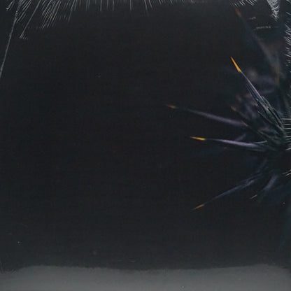 REFRACTED – IN VEIL
