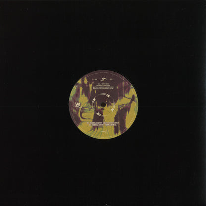 Back cover of Vinyl Future's RamBal Cochet by Dylan Forbes on Solaris EP vinyl record, featuring abstract artwork and track info.