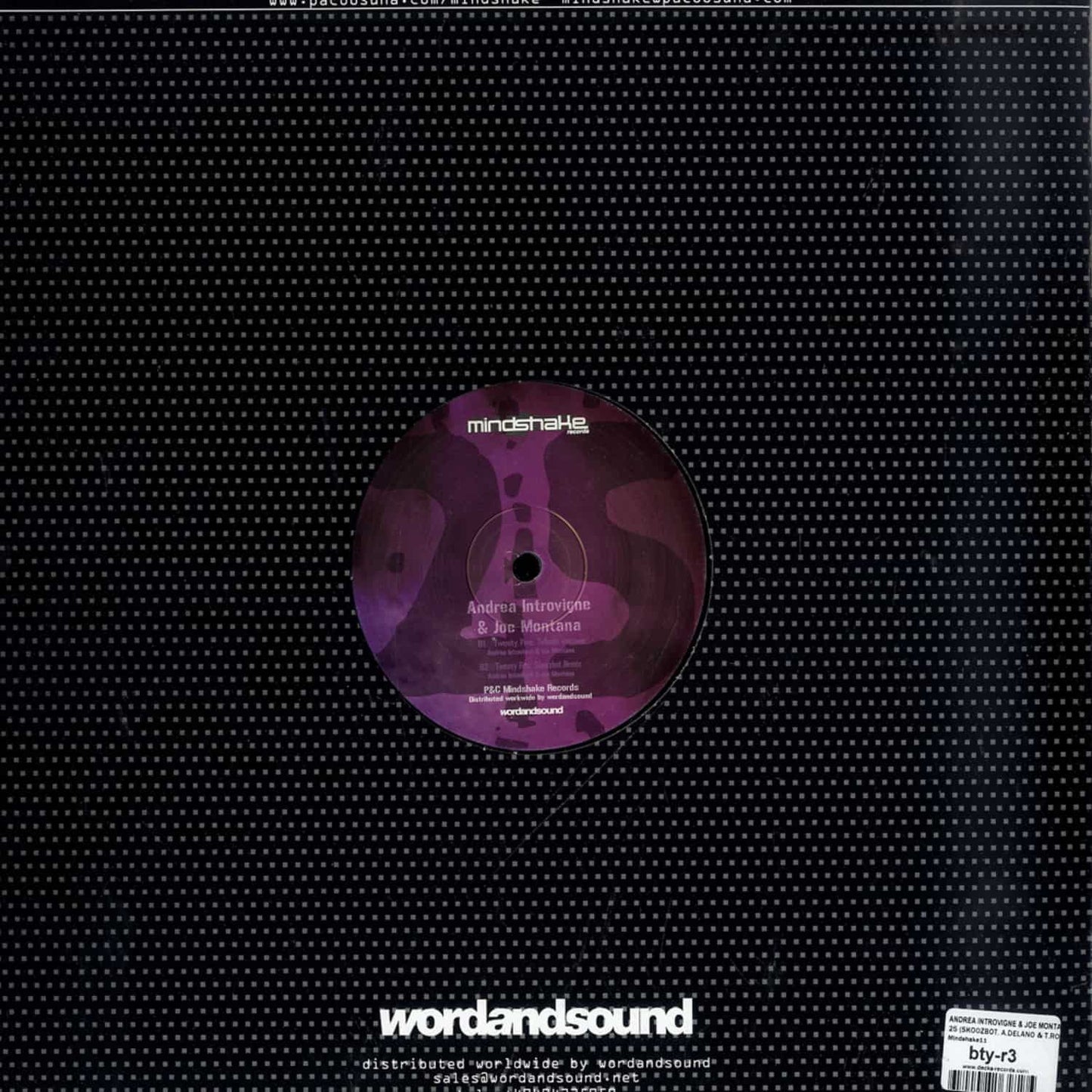 ANDREA INTROVIGNE, JOE MONTANA, ALEXI DELANO, TONY ROHR, SKOOZBOT – TWENTY FIVE