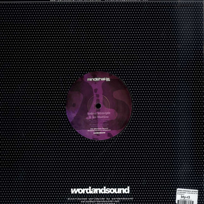 ANDREA INTROVIGNE, JOE MONTANA, ALEXI DELANO, TONY ROHR, SKOOZBOT – TWENTY FIVE