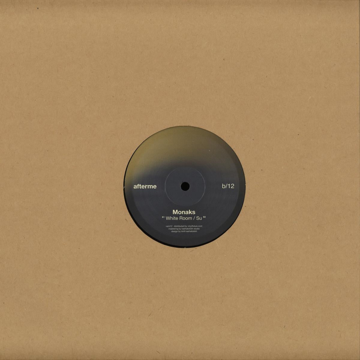 Vinyl Future MONAKS VAM12 vinyl record with colorful abstract label design, showing the back side of the record.