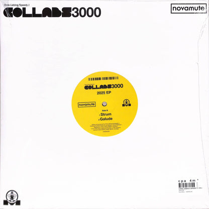 Back view of Rubadub vinyl record CHRIS LIEBING / SPEEDY J – COLLABS 3000 2025 EP, featuring black vinyl with label design.