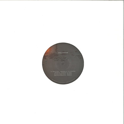 KENNY DAHL, RUMAN, SALVATORE FOGLIA, OLIVER ROSEMANN – RESONANTIA - Chippy Chasers Record Store