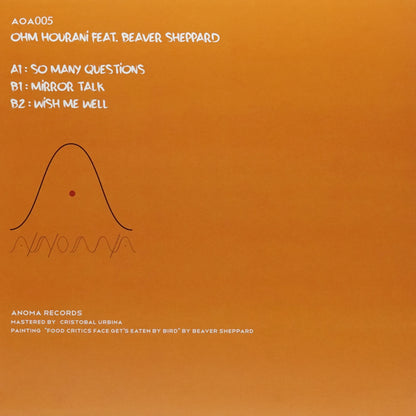 OHM HOURANI FEAT. BEAVER S – SO MANY QUESTIONS